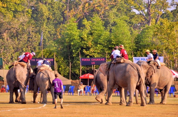Elephant Polo
