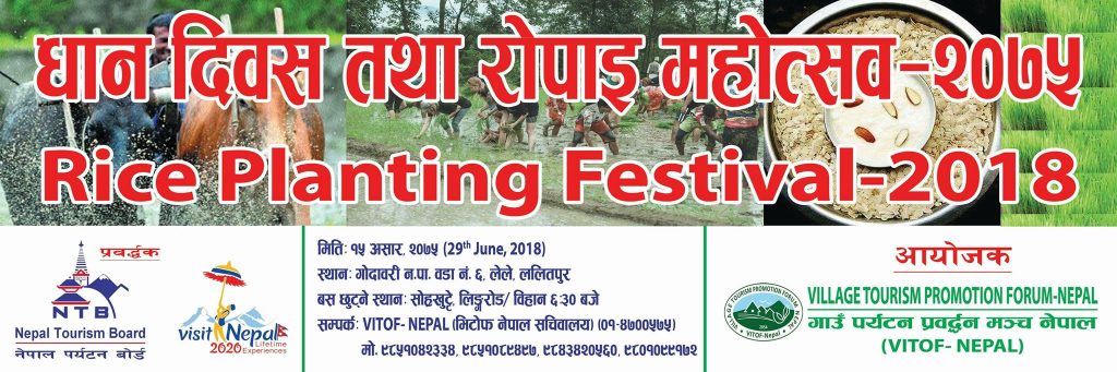 VITOF Nepal organizes Rice Planting Festival