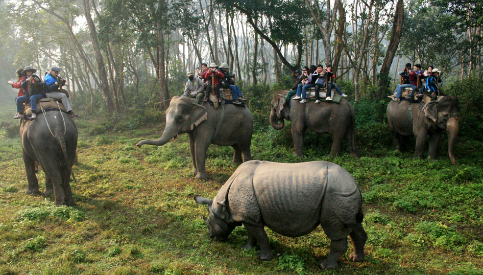 Chitwan National Park